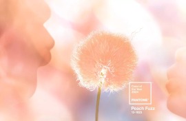 "Peach Fuzz" цвет 2024г. Наши ткани в персиковом пушке 